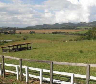 SÍTIO BAIRRO DA SERRA