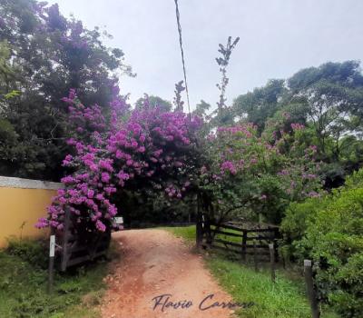 SITIO SERRA NEGRA SP