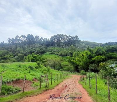 SITIO SERRA NEGRA SP