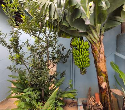 CASA PRÓXIMO AO CENTRO