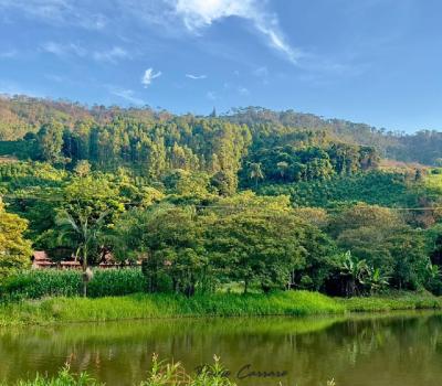 SITIO EM SERRA NEGRA-SP