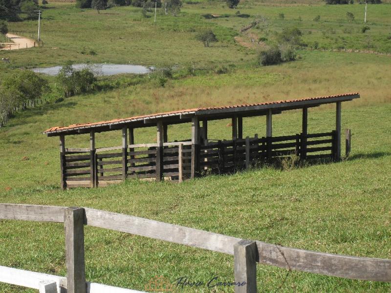 SÍTIO BAIRRO DA SERRA