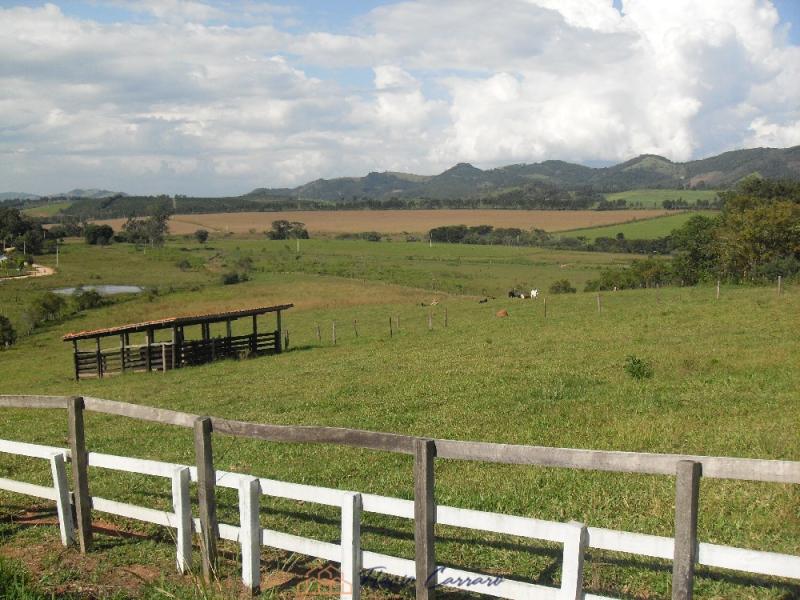 SÍTIO BAIRRO DA SERRA