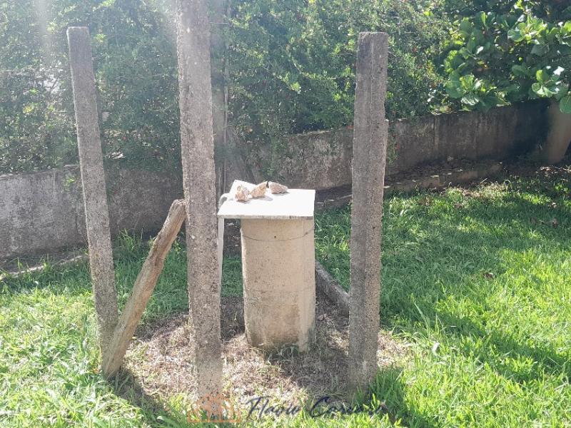 CHÁCARA PRÓXIMO AO CENTRO
