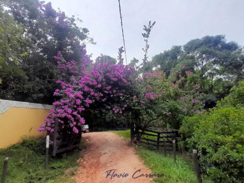 SITIO SERRA NEGRA SP