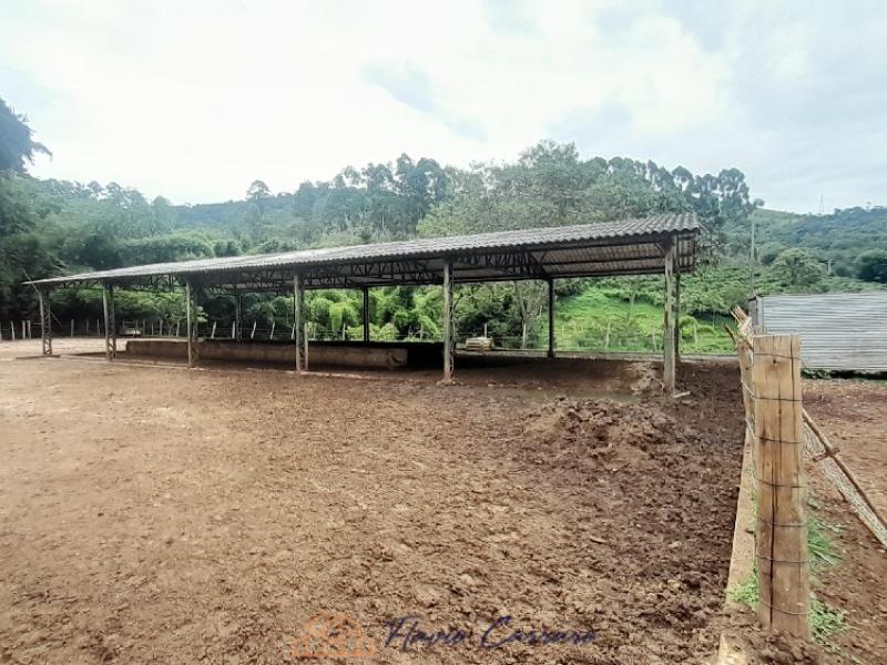 SITIO SERRA NEGRA SP