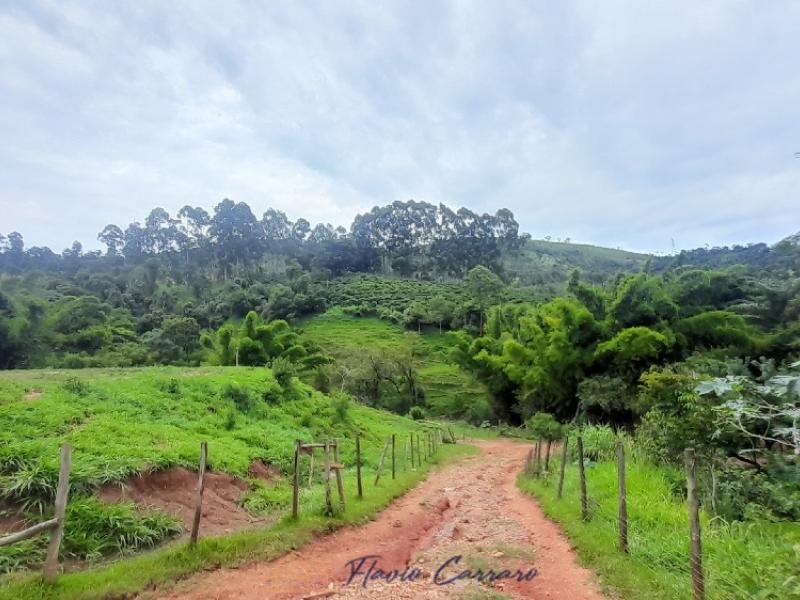 SITIO SERRA NEGRA SP