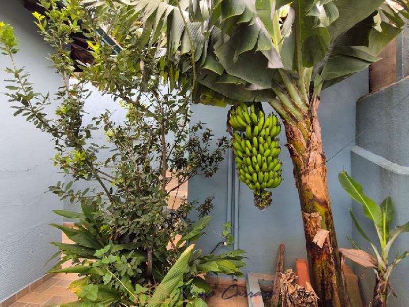 CASA PRÓXIMO AO CENTRO