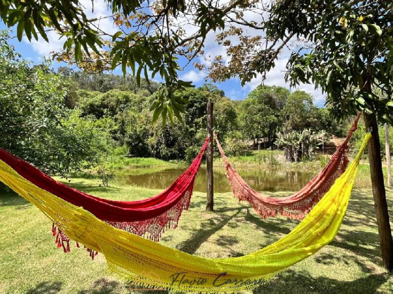 SITIO EM SERRA NEGRA-SP