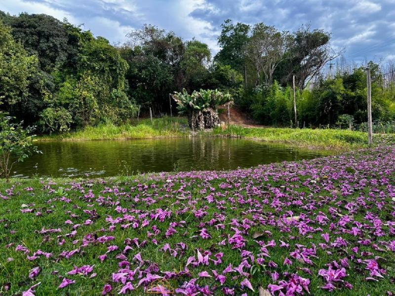 SITIO EM SERRA NEGRA-SP