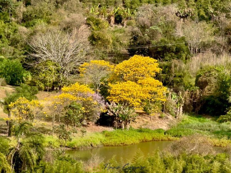 SITIO EM SERRA NEGRA-SP