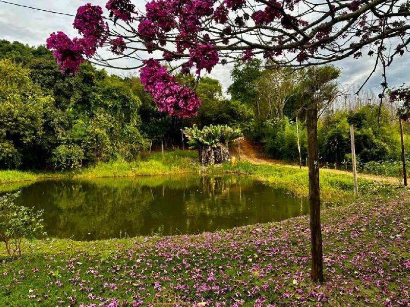 SITIO EM SERRA NEGRA-SP